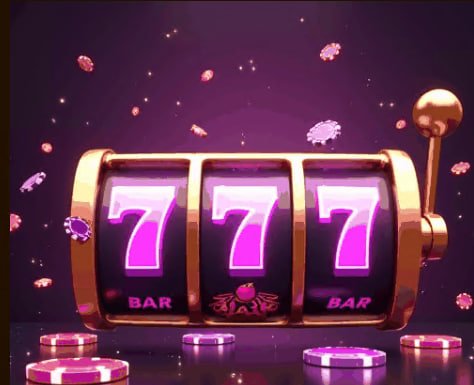 77 bed